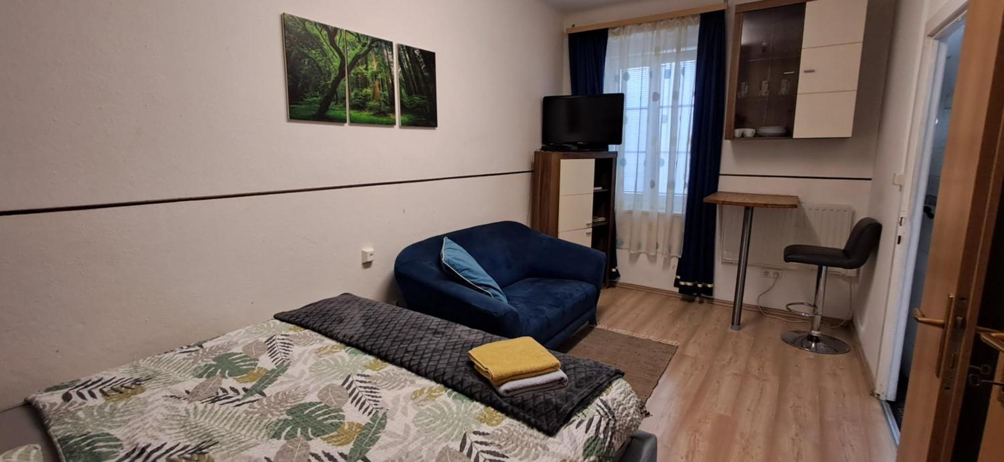 Apartment Ap 1 Im Zentrum Steyr, Bestrooms Eu Exterior foto